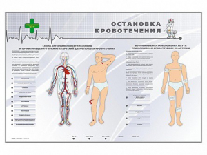 Электрифицированный стенд "Остановка кровотечения" - fgospostavki.ru - Ижевск