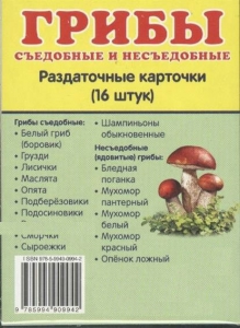 Раздаточные карточки "Грибы съедобные и не съедобные" - fgospostavki.ru - Ижевск