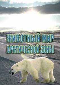 DVD "Животный мир Арктической зоны" - fgospostavki.ru - Ижевск