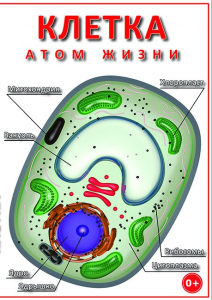 DVD "Клетка - "атом жизни" - fgospostavki.ru - Ижевск