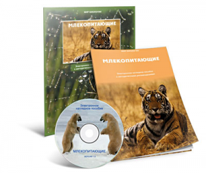Электронное наглядное пособие «Млекопитающие» - fgospostavki.ru - Ижевск