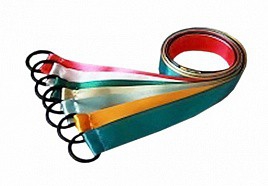 Лента гимнастическая на кольце (1 метр) - fgospostavki.ru - Ижевск