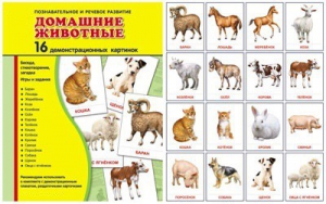 Демонстрационные карточки "Домашние животные" - fgospostavki.ru - Ижевск