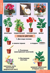 Комплект таблиц. Окружающий мир 1 класс. - fgospostavki.ru - Ижевск