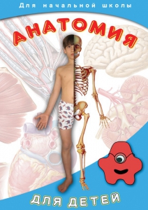 DVD "Анатомия для детей" - fgospostavki.ru - Ижевск