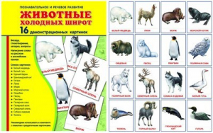 Демонстрационные карточки "Животные холодных широт" - fgospostavki.ru - Ижевск