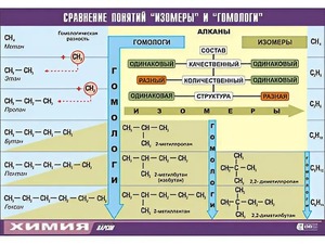 Таблица демонстрационная "Сравнение понятий изомер и гомолог" (винил 100x140) - fgospostavki.ru - Ижевск