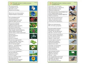 Комплект карточек (10) "Обучающий калейдоскоп. Природа" - fgospostavki.ru - Ижевск