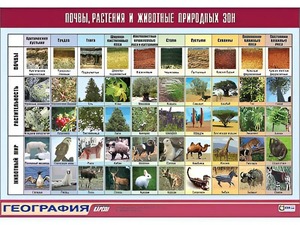 Таблица демонстрационная "Почвы, растения и животные природных зон" (винил 70*100) - fgospostavki.ru - Ижевск