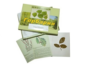 Гербарий "Дикорастущие растения" (30 видов, с иллюстрациями) - fgospostavki.ru - Ижевск