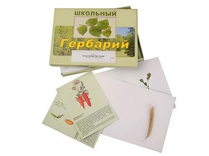 Гербарий "Культурные растения" (30 видов, с иллюстрациями) - fgospostavki.ru - Ижевск