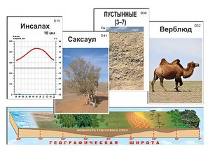 Модель-аппликация "Природные зоны" - fgospostavki.ru - Ижевск