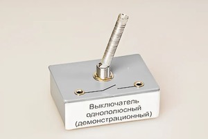 Выключатель однополюсный (демонстрационный) - fgospostavki.ru - Ижевск