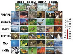 Фенологические наблюдения - fgospostavki.ru - Ижевск
