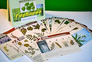 Гербарий к курсу основ общей биологии - fgospostavki.ru - Ижевск