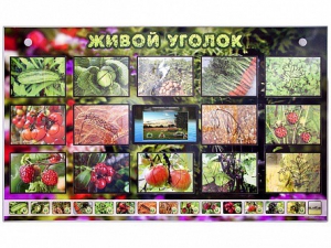 Комплект оборудования "Живой уголок" (растения) с тифлопереводом и сурдокомментариями - fgospostavki.ru - Ижевск