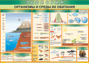 Таблица "Организмы и среды их обитания" (100х140 сантиметров, винил) - fgospostavki.ru - Ижевск