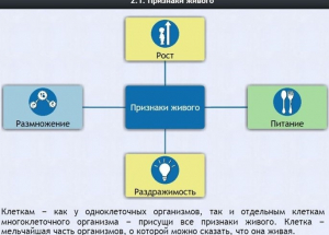 Интерактивные курсы. Биология 5 класс. Базовый - fgospostavki.ru - Ижевск