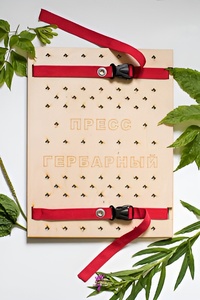 Пресс гербарный (сетка) - fgospostavki.ru - Ижевск