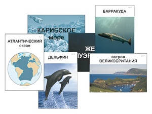 Модель-аппликация "Океаны. Знакомство" (ламинированная) - fgospostavki.ru - Ижевск