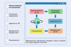 Интерактивные курсы. Информатика 10 класс . Базовый. - fgospostavki.ru - Ижевск