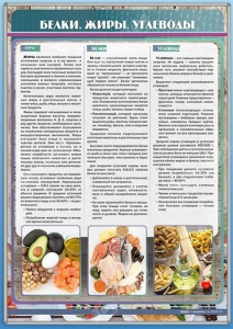 Стенд "Белки. Жиры. Углеводы" - fgospostavki.ru - Ижевск