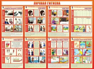 Стенд "Личная гигиена" - fgospostavki.ru - Ижевск