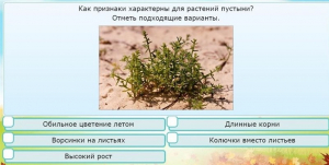 Интерактивные курсы. Окружающий мир 3 класс . Базовый. - fgospostavki.ru - Ижевск
