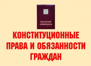 Комплект плакатов "Конституционные права и обязанности граждан" - fgospostavki.ru - Ижевск