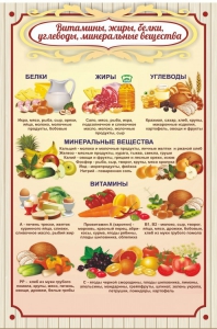 Стенд "Витамины, жиры, белки" - fgospostavki.ru - Ижевск