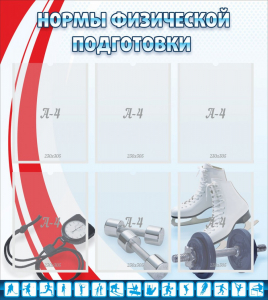 Стенд "Нормы физической подготовки" Вариант 2 - fgospostavki.ru - Ижевск