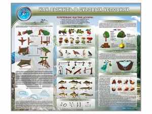Стенд "Как выжить в суровых условиях" - fgospostavki.ru - Ижевск