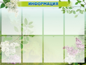 Стенд "Информация" Вариант 13 - fgospostavki.ru - Ижевск