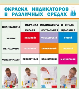 Стенд "Окраска индикаторов в различных средах" - fgospostavki.ru - Ижевск