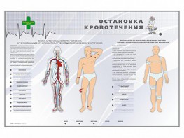 Электрифицированный стенд "Остановка кровотечения" - fgospostavki.ru - Ижевск