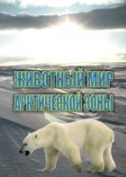 DVD "Животный мир Арктической зоны" - fgospostavki.ru - Ижевск