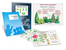 Комплект кодотранспарантов "Культурные растения" - fgospostavki.ru - Ижевск