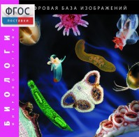 Биология. Микрофотографии. (Цифровая база изображений) - fgospostavki.ru - Ижевск