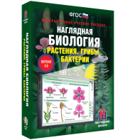 Наглядная биология. 6 класс. Растения. Грибы. Бактерии - fgospostavki.ru - Ижевск