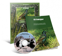 Электронное наглядное пособие «Птицы» - fgospostavki.ru - Ижевск