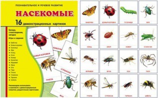 Демонстрационные карточки "Насекомые" - fgospostavki.ru - Ижевск