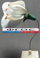Модель "Цветок гороха" - fgospostavki.ru - Ижевск
