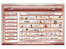 Трехсекционный базовый комплект "Травмы. Кровотечения. Ожоги" для учащихся общеобразовательных учреждений - fgospostavki.ru - Ижевск