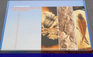 Коллекция "Палеонтологическая" (16 образцов) - fgospostavki.ru - Ижевск