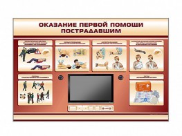 Многофункциональный интерактивный стенд-тренажер "Оказание первой помощи пострадавшим" для учащихся общеобразовательных учреждений - fgospostavki.ru - Ижевск