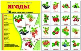 Демонстрационные карточки "Ягоды" - fgospostavki.ru - Ижевск