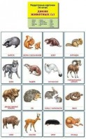 Раздаточные карточки "Дикие животные (1)" - fgospostavki.ru - Ижевск