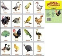 Раздаточные карточки "Птицы домашние и декоративные" - fgospostavki.ru - Ижевск