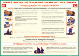 Таблица "Порядок действий при внезапной смерти" (100х140 сантиметров, винил) - fgospostavki.ru - Ижевск