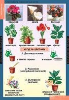 Комплект таблиц. Окружающий мир 1 класс. - fgospostavki.ru - Ижевск